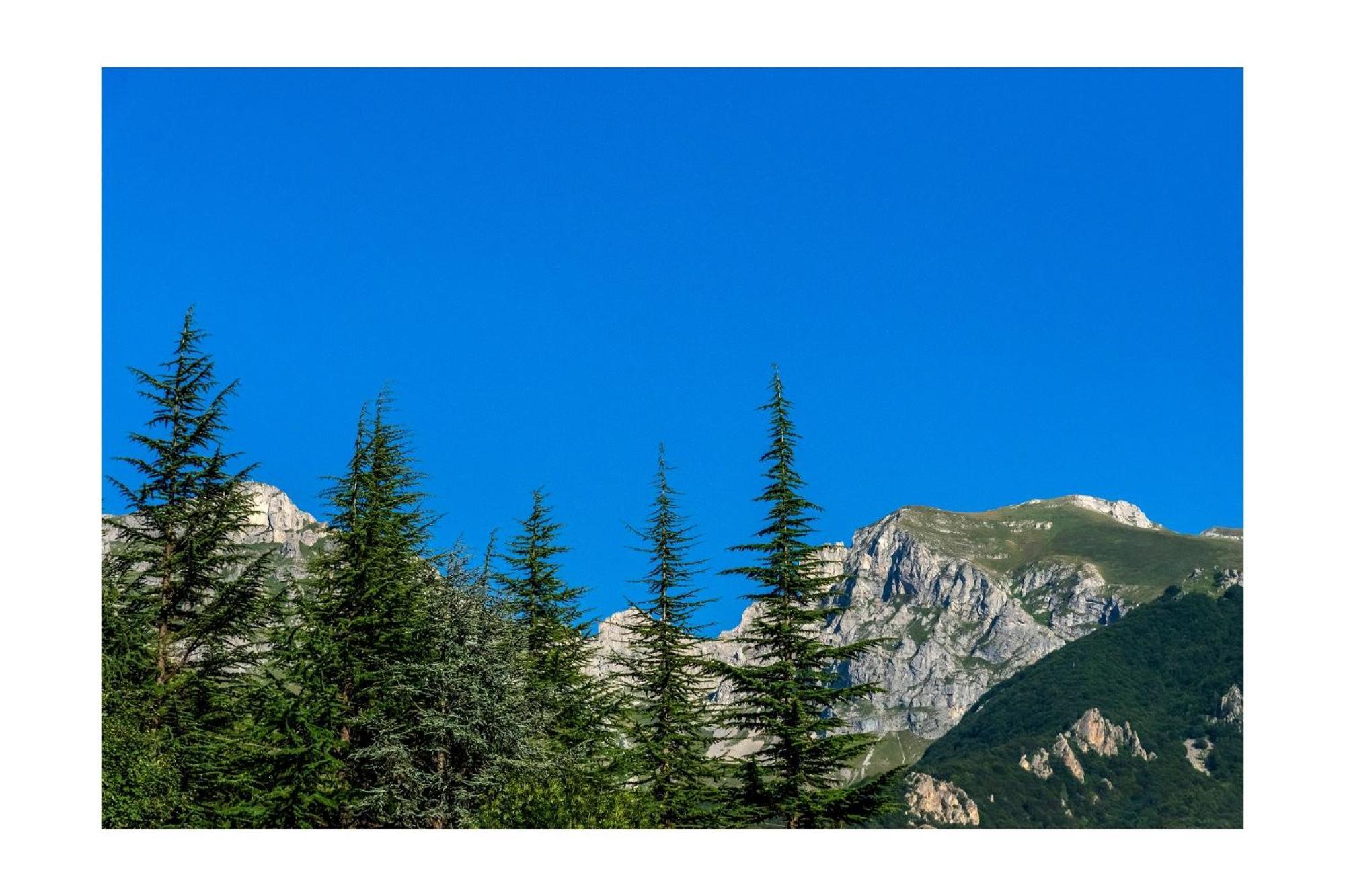 Chalet Bragard 리모네피에몬테 외부 사진